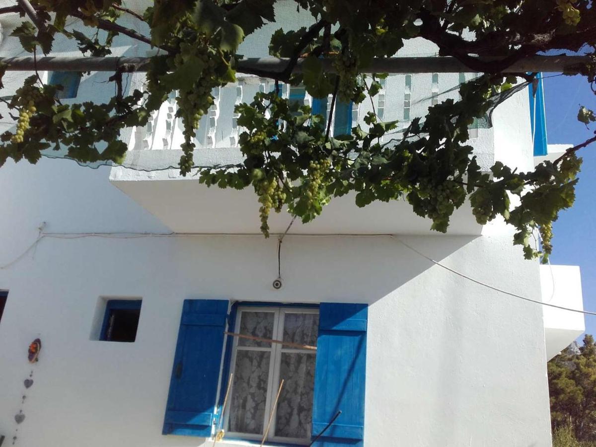 Nikos Apartments Lefkos  Exteriör bild